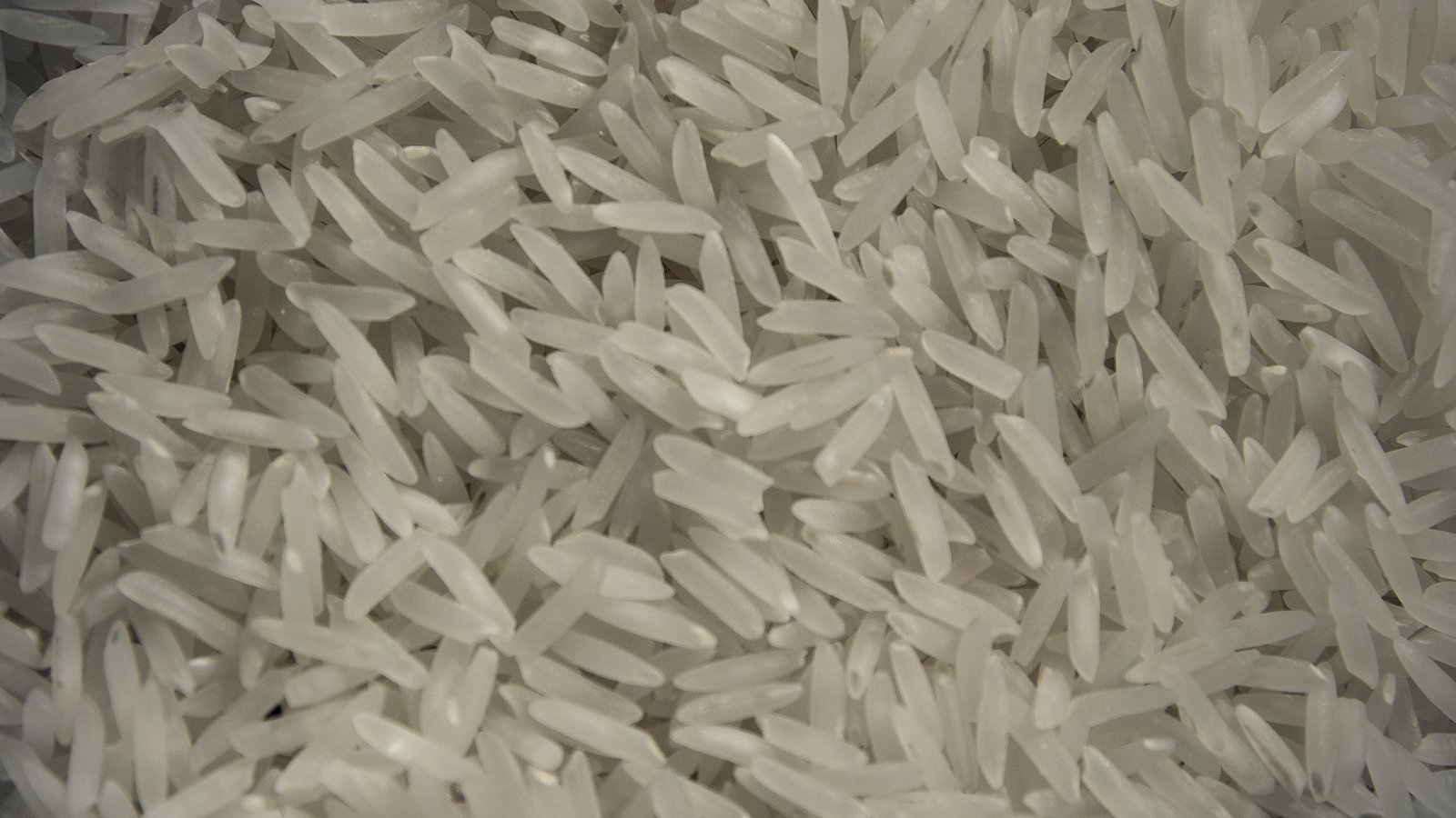 Long-grain rice at close range